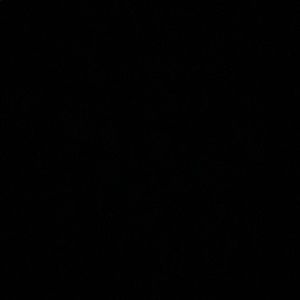 Meet your Posher, Jan